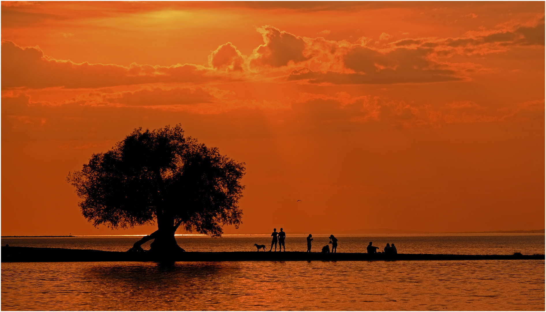 Menschen am Bodensee