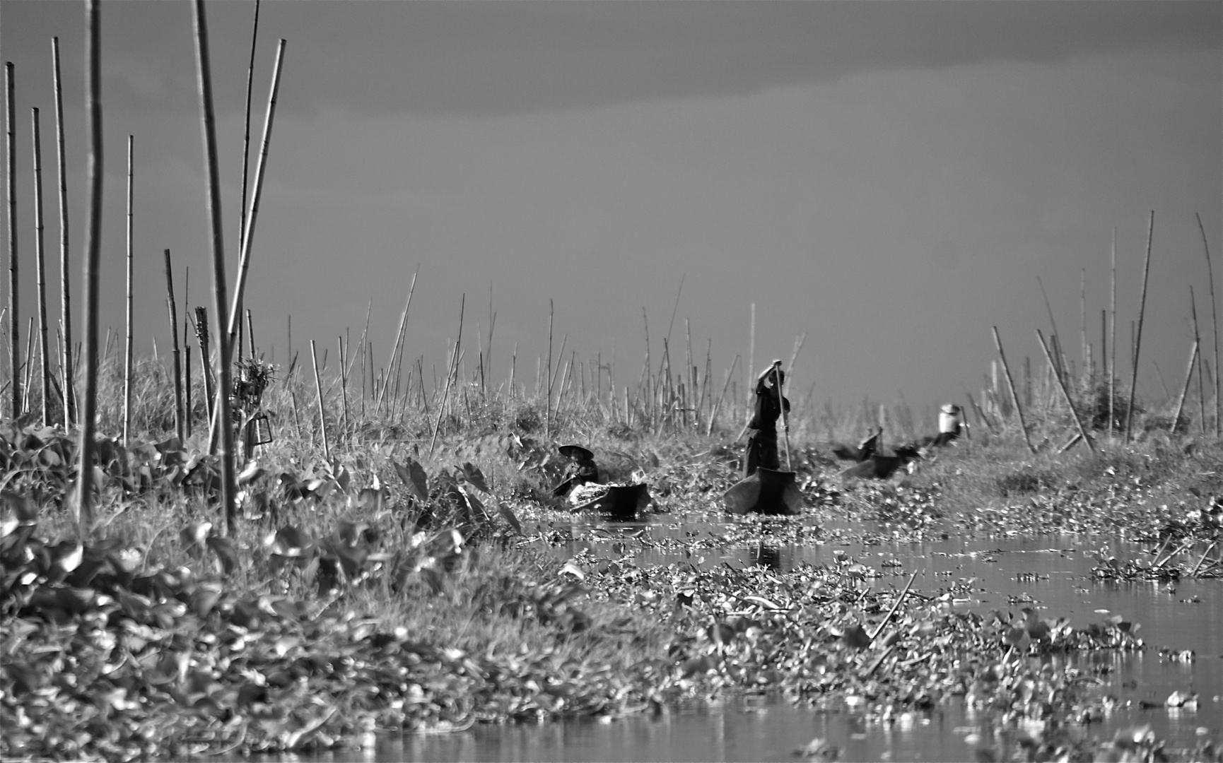 menschen am see