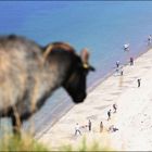 Menschen am Strand