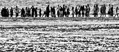 menschen am strand in dänemark ...