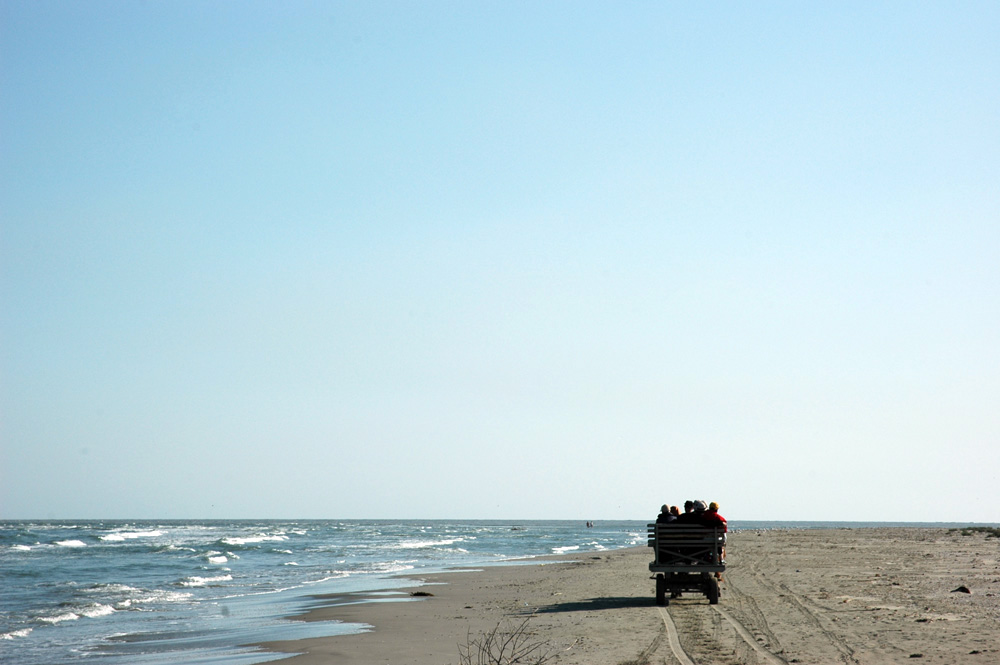 menschen an einem strand