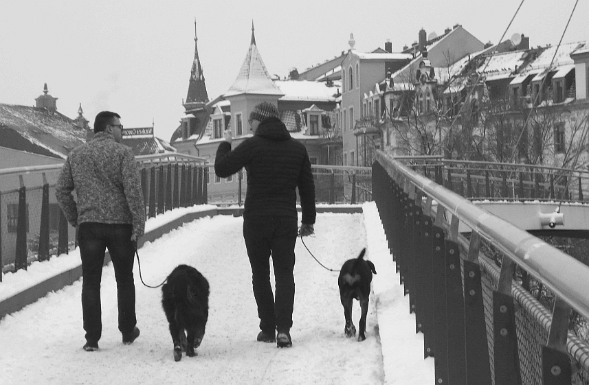 Menschen auf der Brücke (1)