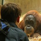 Menschen begegnen einem Waldmenschen