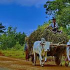 Menschen bei der Arbeit in Myanmar