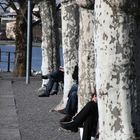 Menschen geniessen den Frühling am Zugersee