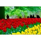 - Menschen im Keukenhof -