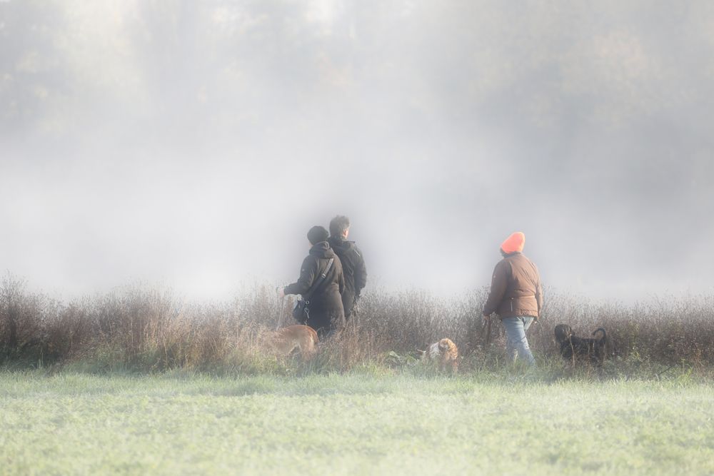 Menschen im Nebel