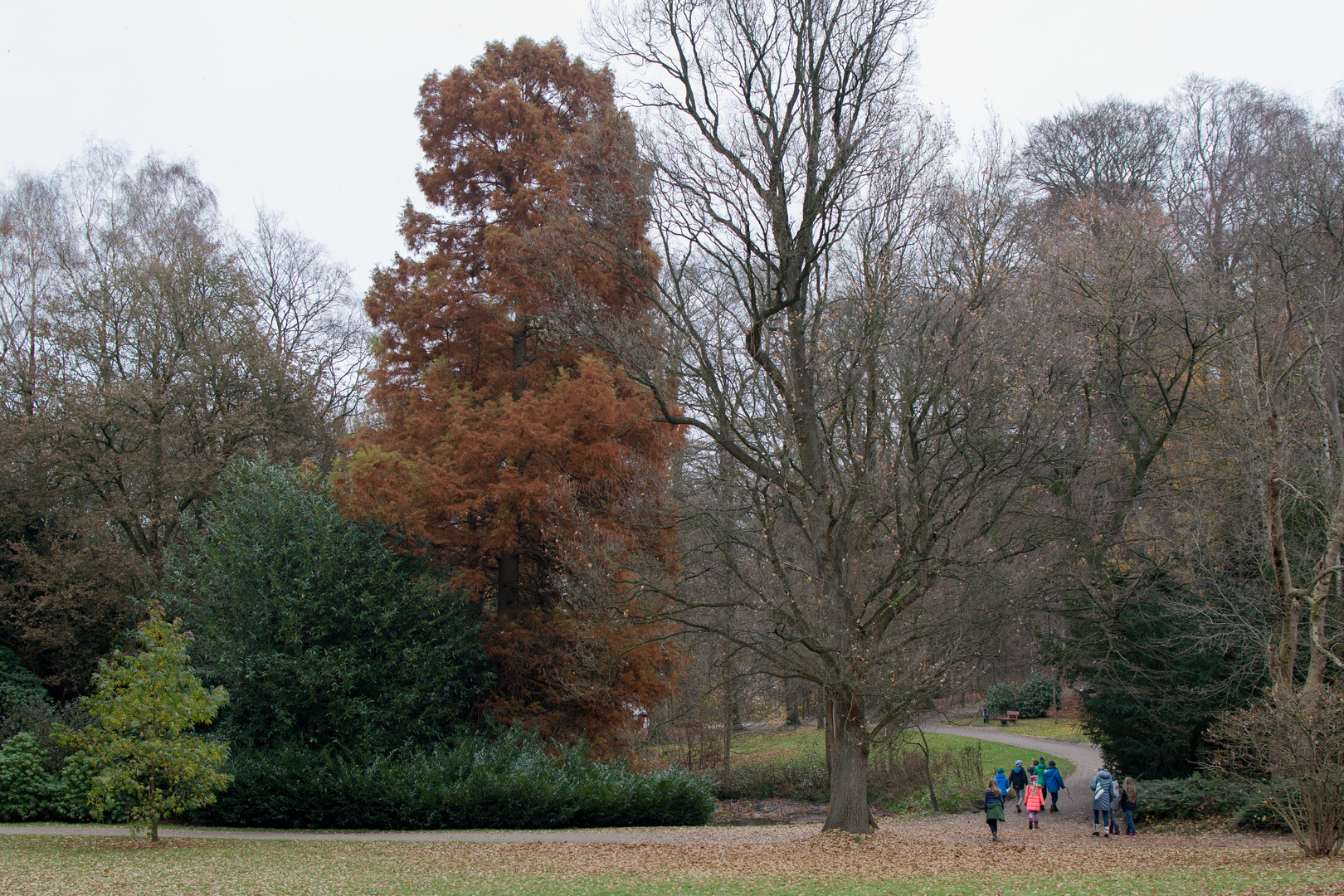 Menschen im Park #1