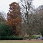 Menschen im Park #1