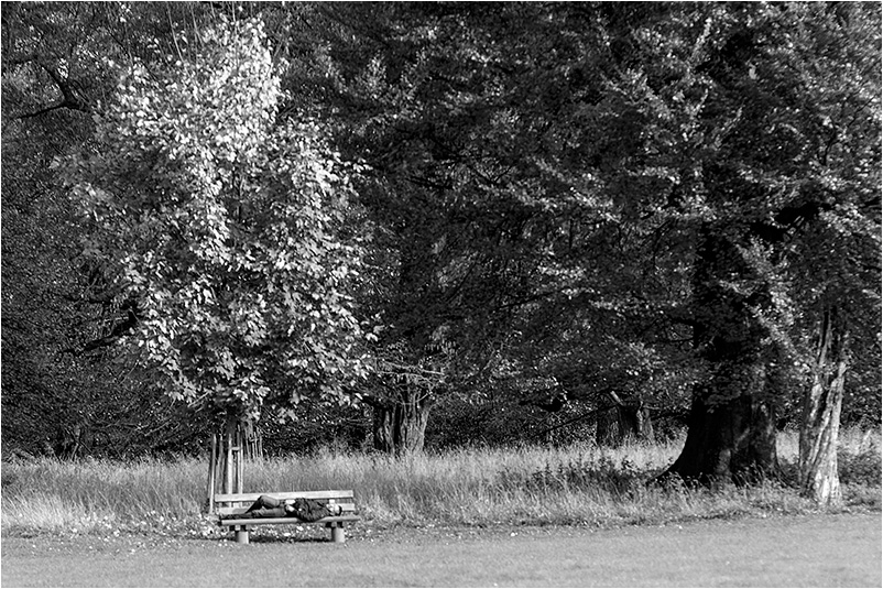 Menschen im Park #11