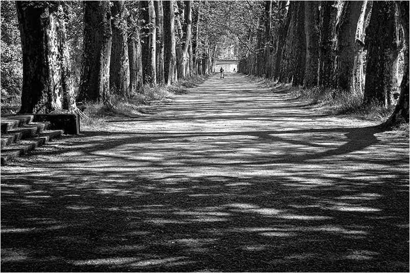 Menschen im Park #4