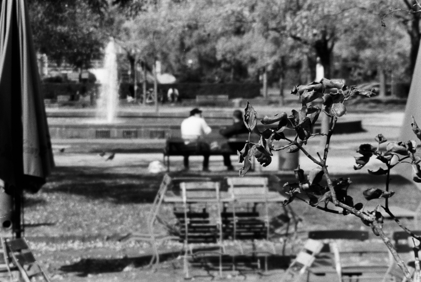 Menschen im Park