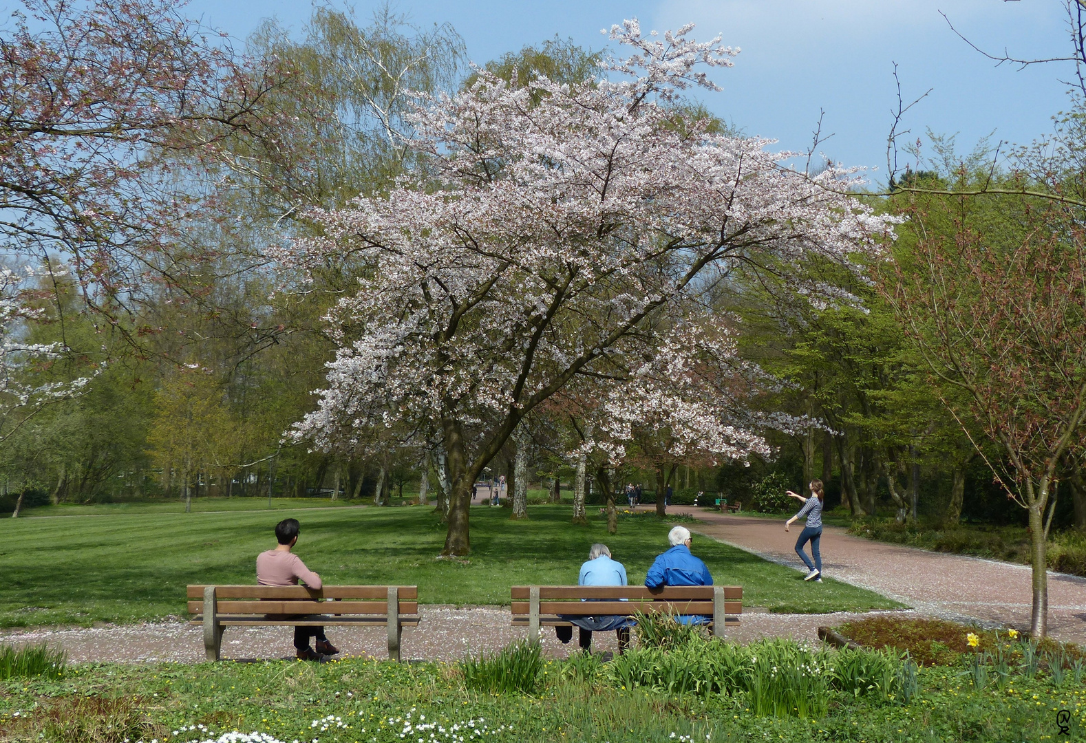 Menschen im Park