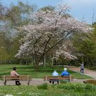 Menschen im Park