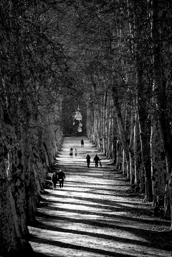 Menschen im Park