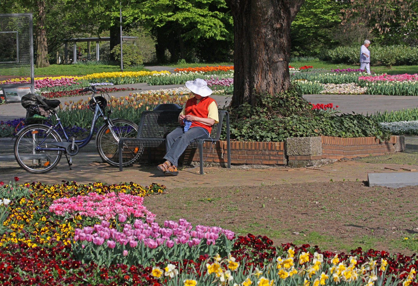 Menschen im Park