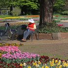 Menschen im Park