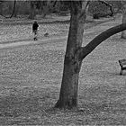 Menschen im Park - Gassi gehen