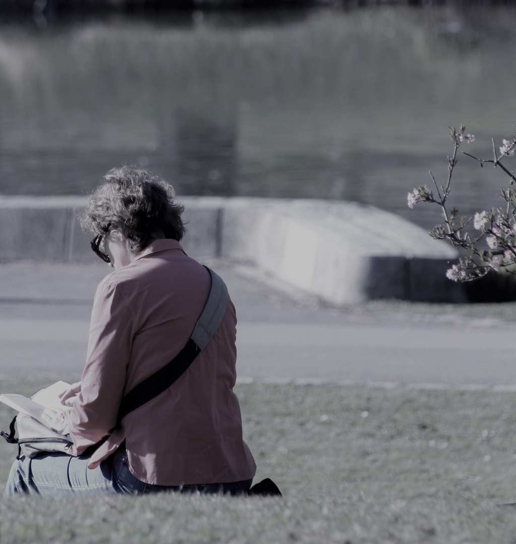 Menschen im Rosensteinpark