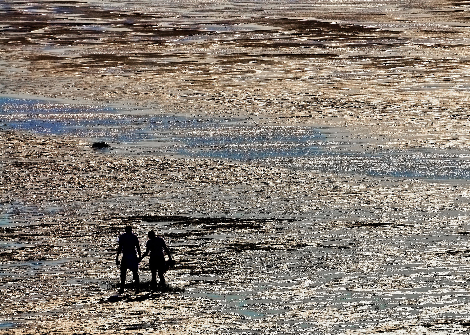 Menschen im Watt 2 (Cuxhaven)