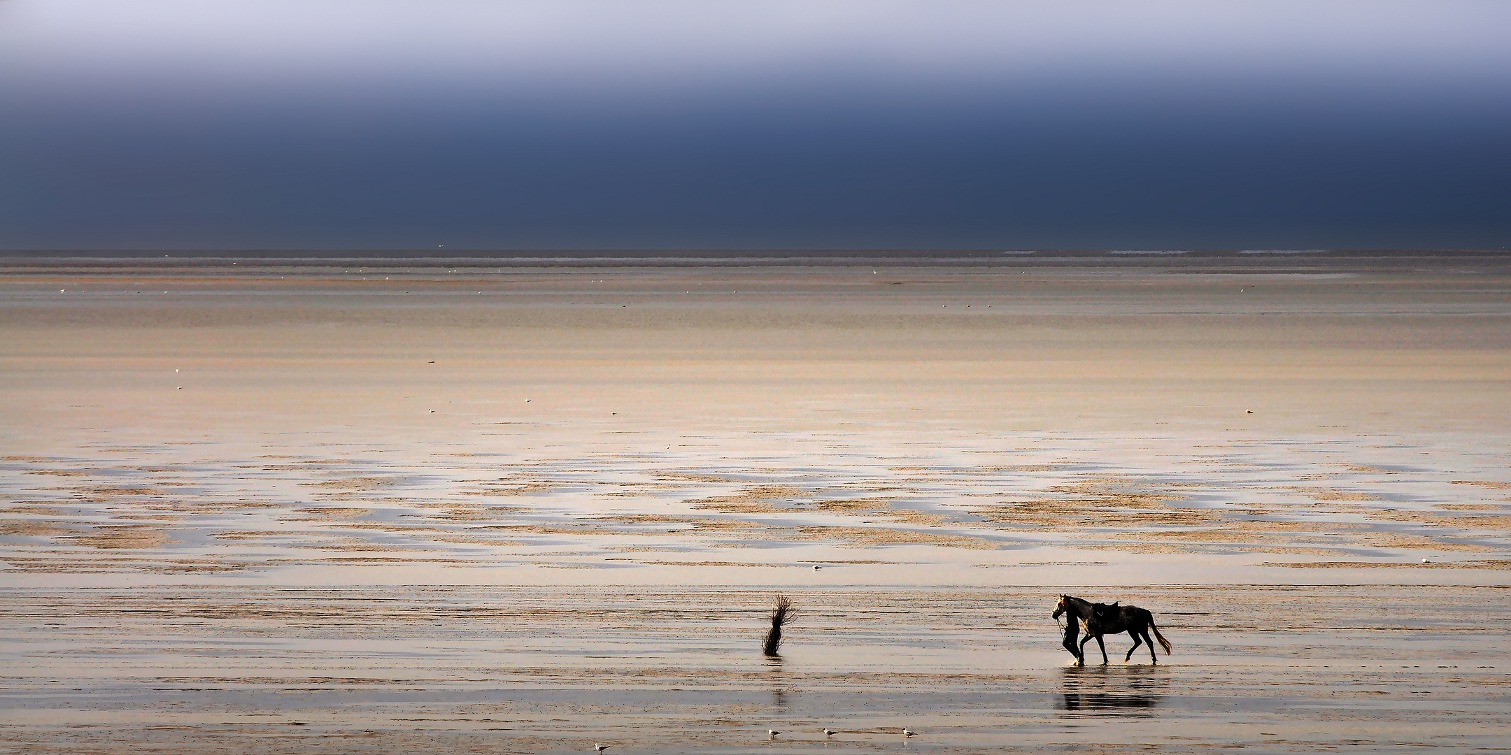 Menschen im Watt 3 (Cuxhaven) BEA