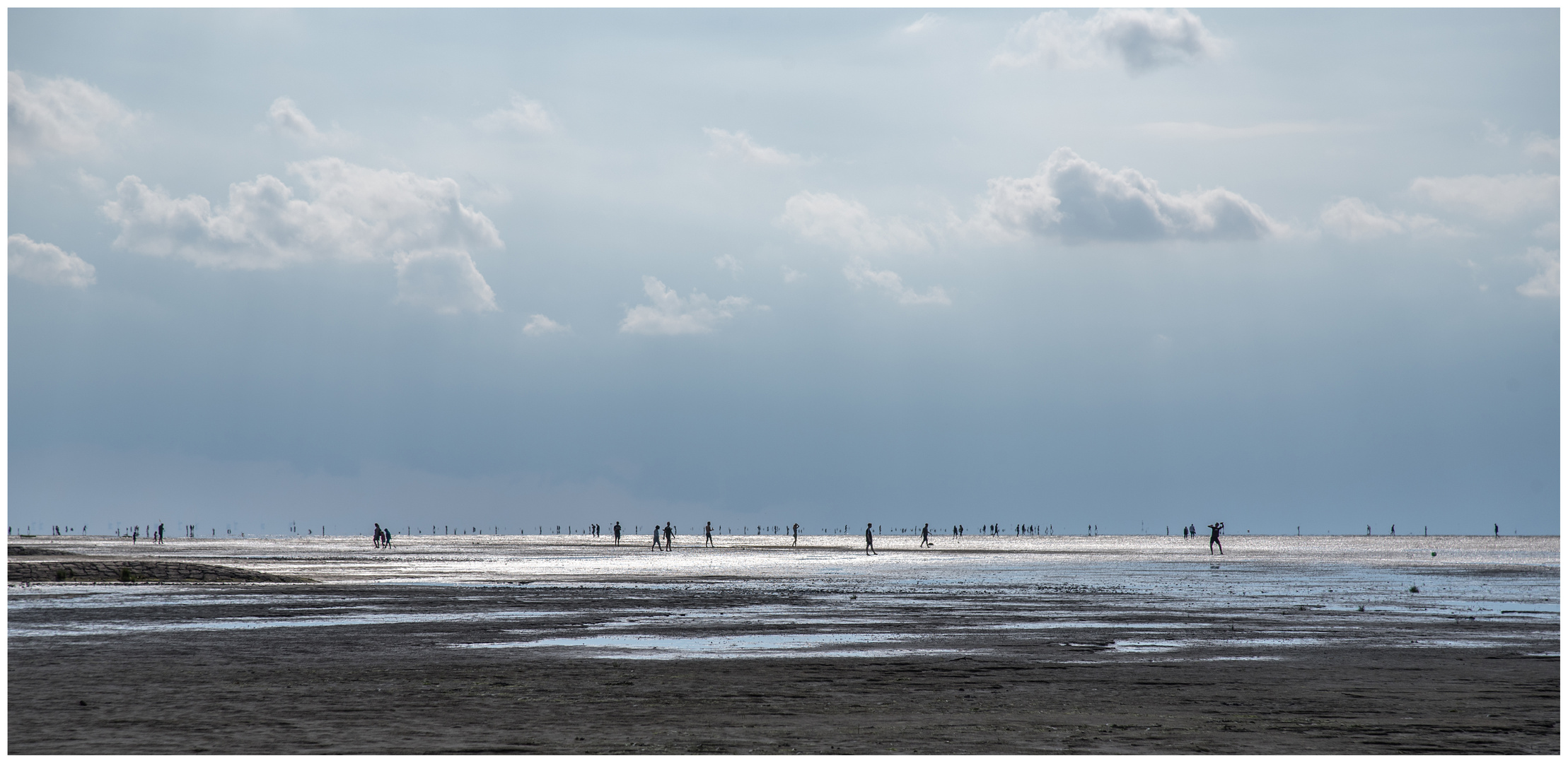 Menschen im Watt Foto & Bild | landschaft, meer & strand, watt Bilder ...