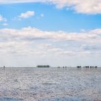 Menschen im Wattenmeer