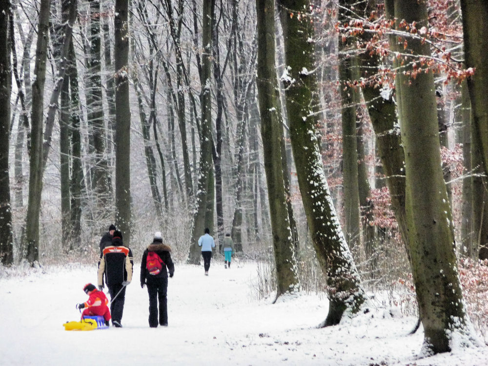 Menschen im Winterwald