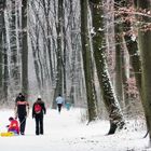 Menschen im Winterwald