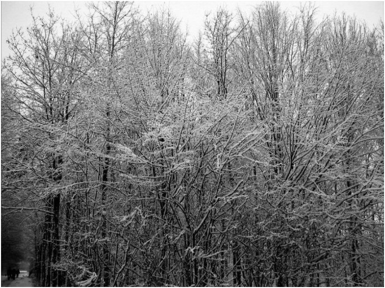 Menschen im Winterwald