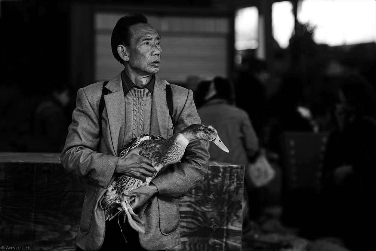 Menschen in China [2] - Die Gans