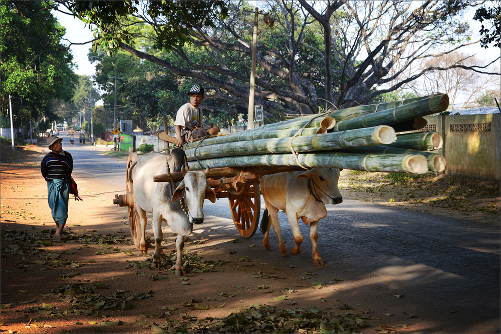 Menschen in Myanmar III