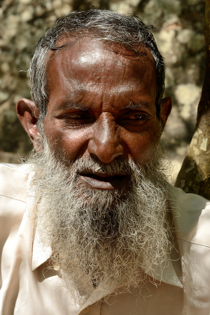 Menschen in Sri Lanka 4