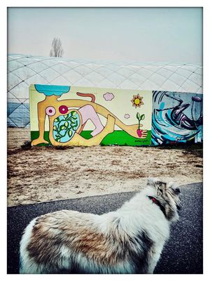 Menschen sind komisch