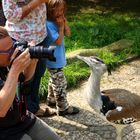 Menschen, Tiere, Dokumentationen