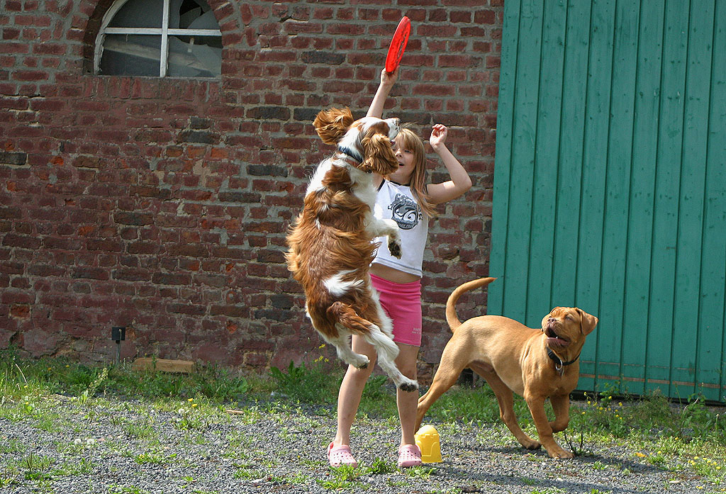 Menschen, Tiere, Sensationen.... Foto & Bild tiere, haustiere, hunde