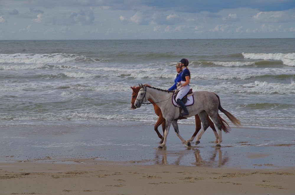 Menschen und Pferde am Strand