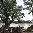 Menschen unter Bäume am Ufer des Cauca