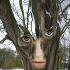 Menschenbaum 2