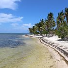 menschenfreier Strand