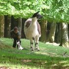 Menschenkinder und Tierkinder