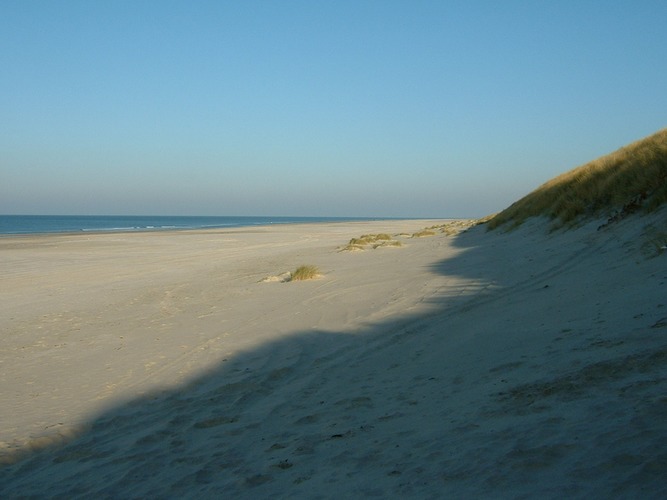 Menschenleerer Nordseestrand in Gronhoj