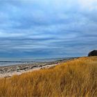 Menschenleerer Strand/Zingst/Darß