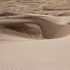 Menschliche Lemminge - Great Sand Dune