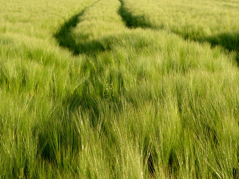 Menschliche Spuren