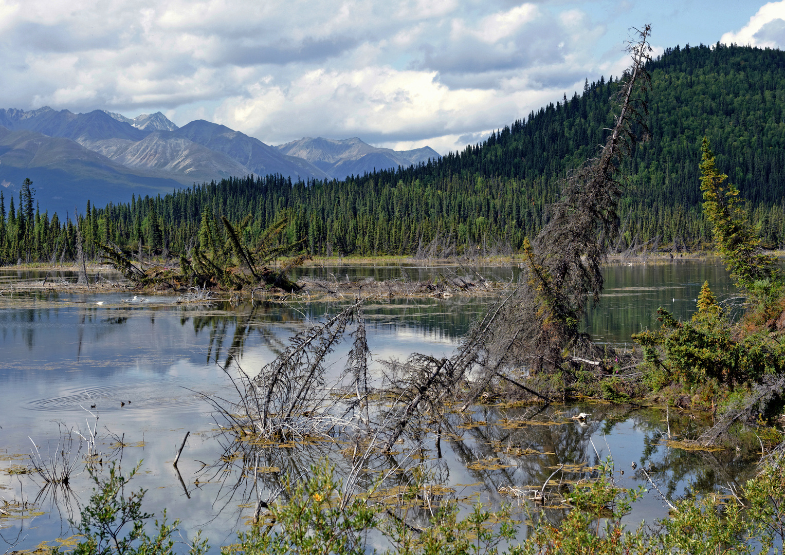 Mentasta Lake