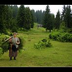 mentese yaylasi-trabzon-turkey