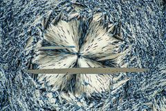 Menthol_25