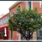 MENTON - 3 -