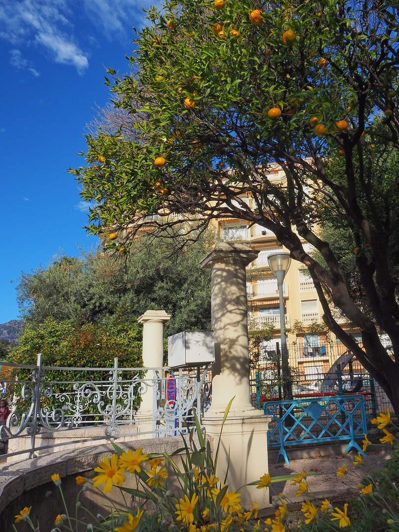 Menton en décembre…